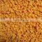 Sinocharm BRC A approved IQF Cut Yellow Sweet Potato Dice 10*10mm