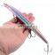 China chinese vivid fishing soft lure Bionic 3d eyes for fishing lures lifelike 24g fishing lures hard plastic