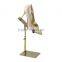 Polished Gold Metal shoe display stands, shoe store display racks                        
                                                Quality Choice