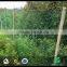 17x17mm mesh size 1x200m trellis net anti wild animal fence screening net with black line for installing