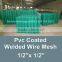 china factory 1inch epoxy coated welded wire mesh