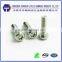 Flat head stainless steel torx anti theft screw