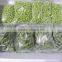 frozen IQF Edamame and soya beans kernels with BRC certificate