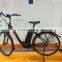 new design hottest lay/woman inner 8 speeds 250W mid motor Electric bicycle