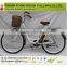 2016 Most popular Economic type Europe lady city bicycle(FP-CB16002)