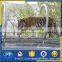 safety zoo fence 316L wire rope mesh fence