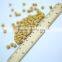 Non-GMO Soybean (For human consumption)