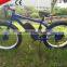 China CE fat tire electric mountain bicycle with 250w motor and li battery for sports for sale