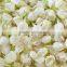 Jasmine Essential Oil 100% Natural |100% Pure Jasmine Oil | Ruh Chameli Oil