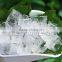 CE Approved 3 Tons/day Cube Ice Maker Machine for Human Consumption