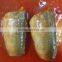 155g Mackerel Can Food