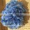 preserved flower hydrangea flower