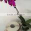 Low price and high quality paper/vinyl labels printed self-adhesive stickers in roll