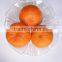Mytext Juicy sweet delicious fresh baby honey fresh mandarin orange