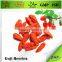 HALAL HACCP ISO Goji Extract Powder 50%-70% Polysaccharide