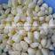 Peeled Garlic in Brine (Salt & Water)