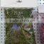 MS002 American most hot selling decorative floral natural moss