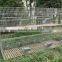 rabbit farming cage/rabbit breeding cages/commercial rabbit cages