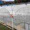 large plastic film greenhouse with control system for plant growth