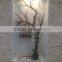 White garden pebbles price decorative pebble in garden