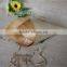 FSC top grade custom pine wooden mini cone for food