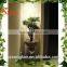 Realistic mini bonsai tree pot culture wholesale