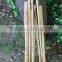 thick wall and strong tonkin bamboo canes for supporting plants at cheap price