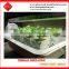 Hydroponics Rock Wool