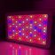 2018 OFF promotions! Led Grow Light 300w Full Spectrum Led Grow Lights with 2 years warranty