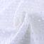 swiss guipure lace cotton voile fabric embroidered