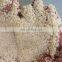 hot sale sesame seed skin peeler processing machinery