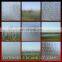 China Factory 3mm 4mm 5mm 6mm Nashiji Pattern Glass for shower glass room