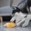 shark shape second mold injection Pet dog chew toy Dog Molar Bite Toys for Aggressive Stick Teeth Cleaning Toys