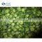 Sinocharm New Season Organic Delicious IQF Sliced Okra Frozen Okra