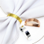 Semicircle Metal Gold Zinc Alloy Material Napkin Rings Holder For Home Decoration