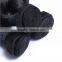 Loose Wavy Human Tasha Hair Weave in Hair Extension no Tangle no Shed Human Hair Weave