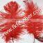 Dyed Ostrich Feather Large Red Craft Ostrich Feather Cheap Wedding Decorations