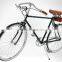 Trendy Design Colorful holland style Family Cargo Bike city bicycle