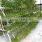 Hydroponics fodder system for agriculture