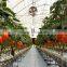 Agricultural machinery, temperature sensor and drip irrigation for greenhouse