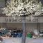 High quality 2016 new product Artificial cherry blossom tree for indoor decoration
