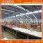 18mm plastic plywood sheet / plastic laminated sheet
