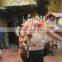 animatronic life size professional manufacturing dinosaur costume