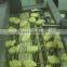 Automatic Chicken Nugets Line