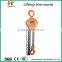 10t Hs-Vt Chain Hoist with CE Certificate