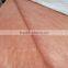 Hot sale in India 4*8ft solomon face veneer sheet for plywood