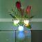 BBY-NL1502W2 LED mushroom beautiful night light with sensor