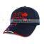 2016 Common Fabric Feature and Image Style 6 panel baseball cap/hat