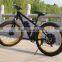 48V 750w mountain electric bike/city bike electric bicycle