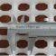 Chicken plastic slat floor 1200*500*40mm/poultry farm flooring
